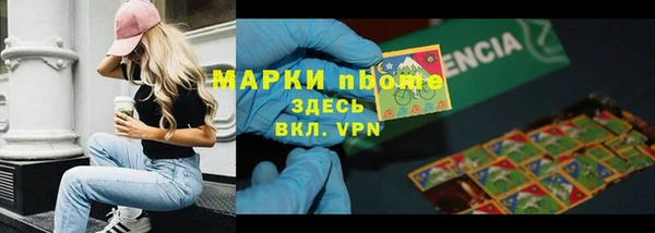 прущие грибы Белоозёрский