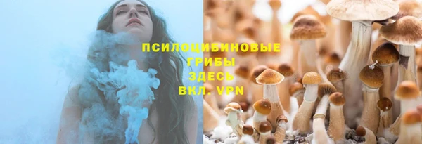 гашик Белокуриха