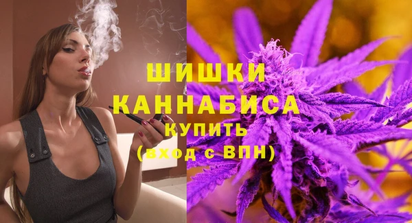 гашик Белокуриха