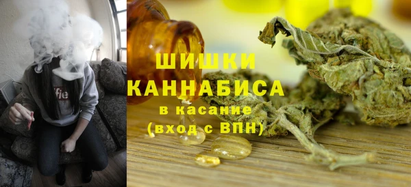 прущие грибы Белоозёрский