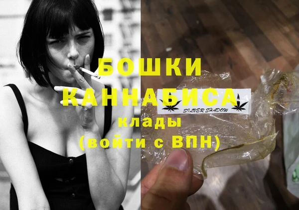 гашик Белокуриха